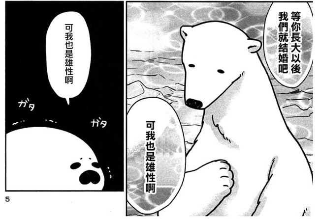 《戀愛的白熊》：世界上最遙遠的距離——我喜歡你，你卻把我當天敵