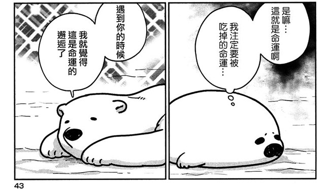《戀愛的白熊》：世界上最遙遠的距離——我喜歡你，你卻把我當天敵